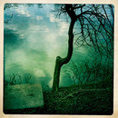 Lomo #85