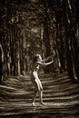 Spell light 