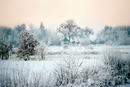 Winter in Poland