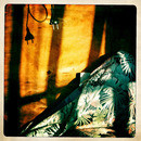 Lomo #95