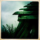 Lomo #97