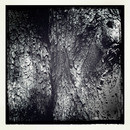Lomo #100