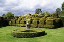 V parke Henry VIII