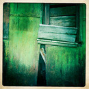 Lomo #106