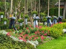 garden pants