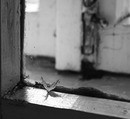 , , 2 