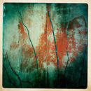 Lomo #112