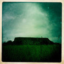 Lomo #116