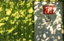 270