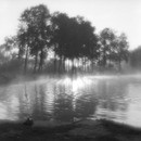 487 HB 110831 IlfordHP5 11