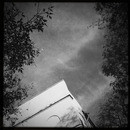 Lomo #124