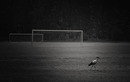 2-1
