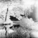 452-HB-110908-EfkeIR-10