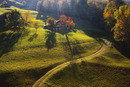 autumn morning