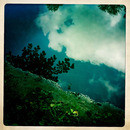 Lomo #133