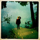 Lomo #135