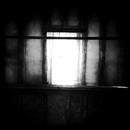 Lomo #137
