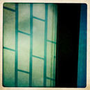 Lomo #139