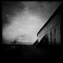 Lomo #147