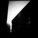 Lomo #152