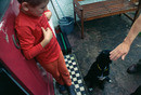 doggy
