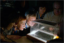 Cloud chamber