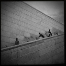 Lomo #160