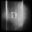 Lomo #162