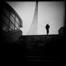 Lomo #166