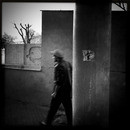 Lomo #173