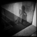 Lomo #179