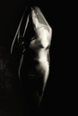 cocoon