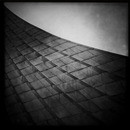 Lomo #184