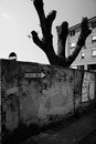 One way / no way