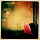 Lomo #192