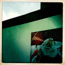 Lomo #193