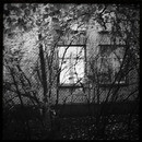 Lomo #194