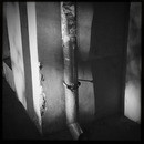 Lomo #196