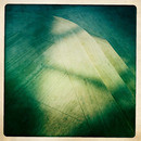Lomo #201