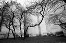 piter -7