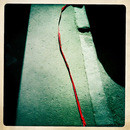 Lomo #202
