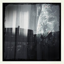 Lomo #207