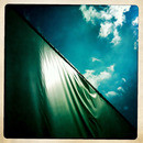 Lomo #208