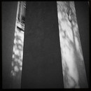 Lomo #214