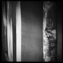 Lomo #215