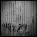 Lomo #217