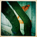 Lomo #219