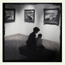 Lomo #220