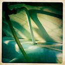 Lomo #222
