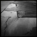 Lomo #226